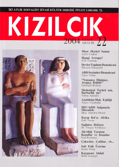 S22 kapak