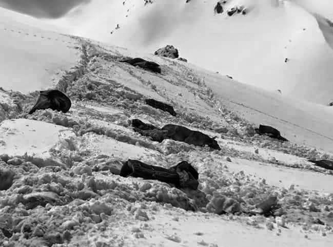 katirlar-bw-crop