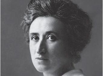 rosa